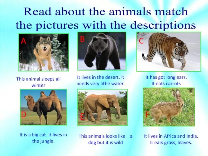 Match the words endangered. Endangered animals in Kazakhstan. Match the animals with the pictures.. Specific animals in Kazakhstan презентация. Endangered animals in Kazakhstan Worksheet.