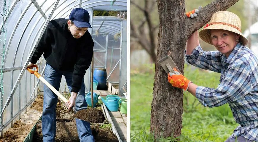 Осень обработка деревьев и кустарников железным. Обработка сада весной. средство для весенней обработки деревьев и кустарников. чем обработать туи осенью от вредителей.