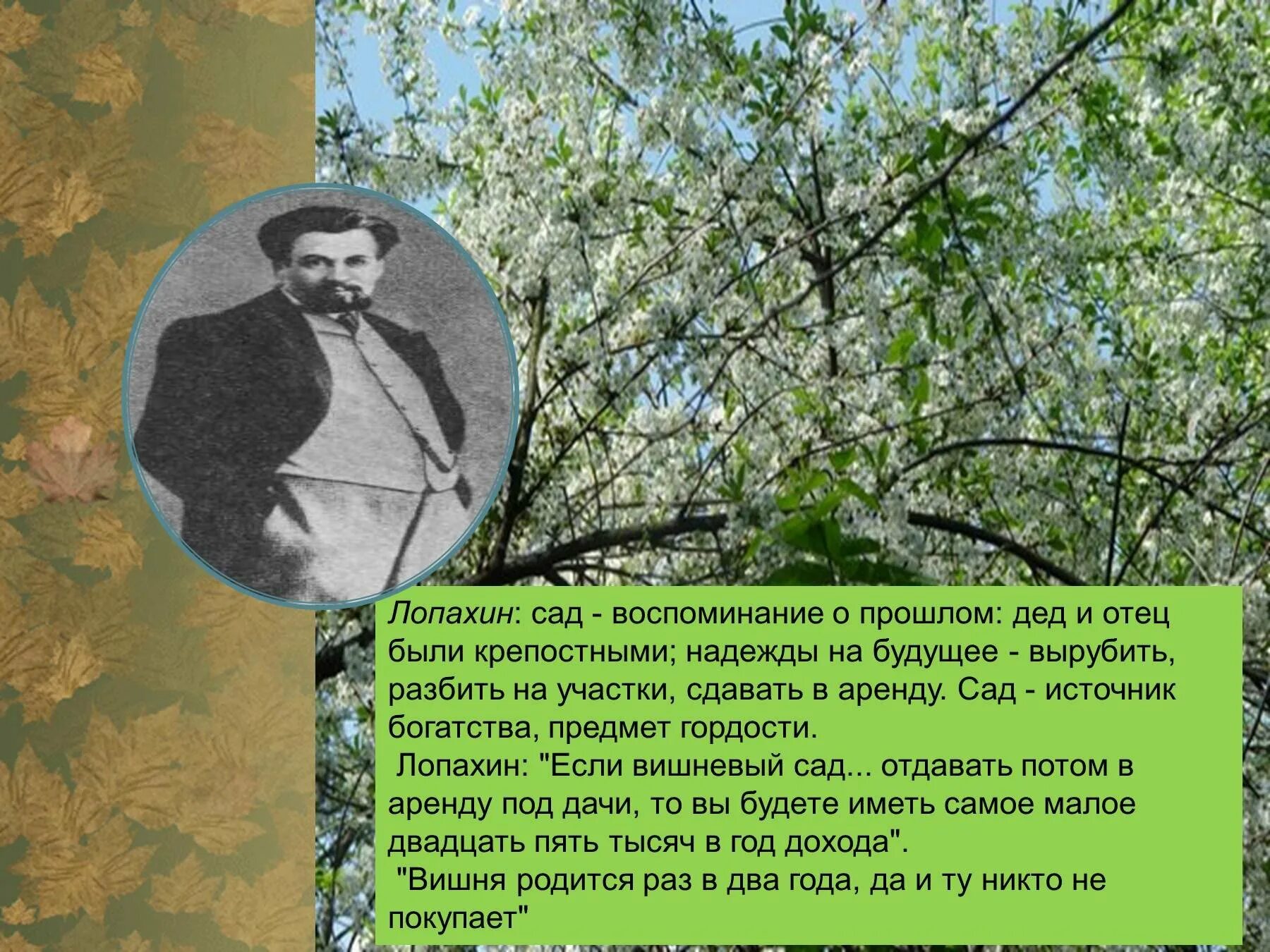 Лопахин вишневый сад характеристика кратко. Образ Лопахина вишневый сад. Вишневый сад образ сада. Прошлое Лопахина вишневый сад.