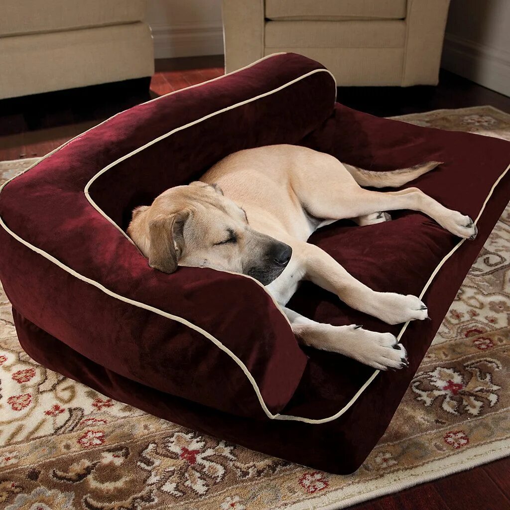 Собачья кровать для человека. Делаем кровать для собаки.