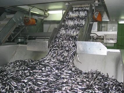 Магазин при производстве мурманск три ручья