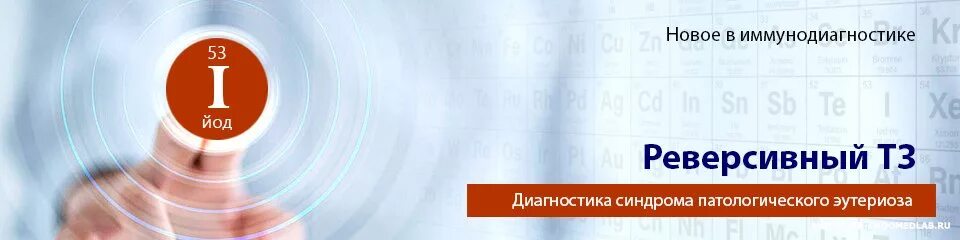 Т3 на какой день