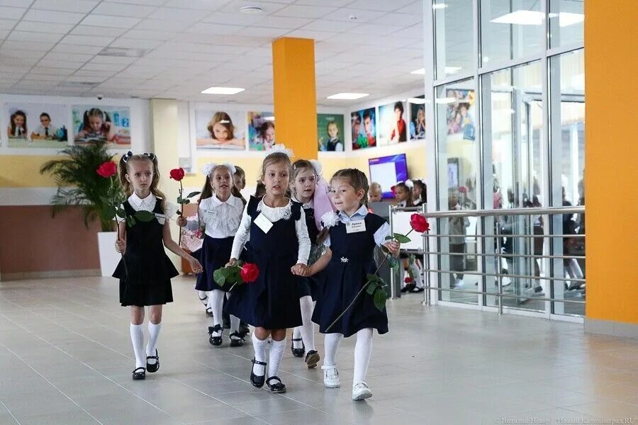 Школа 16 калининград. Школа номер 38 калининград. Маоу сош 38 калининград. Школа 36 калининград. Маоу сош 38 г калининграда.