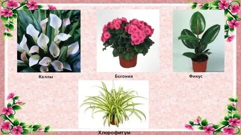 Ағамның әйелімен порно