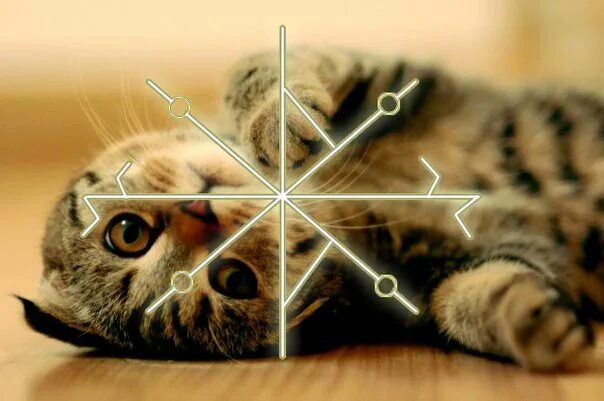 руны mylene maelinhon. став для животных. руны для исцеления животных. рунический став защита животных. став для животных.