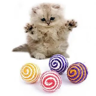 Кошачья оптом