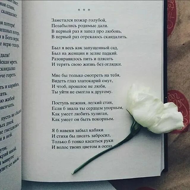 Я так давно тебя любил хотя