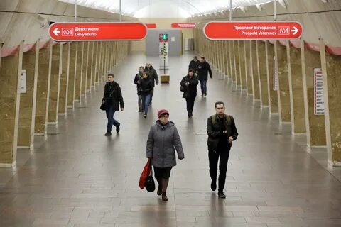 Оранжевая ветка спб
