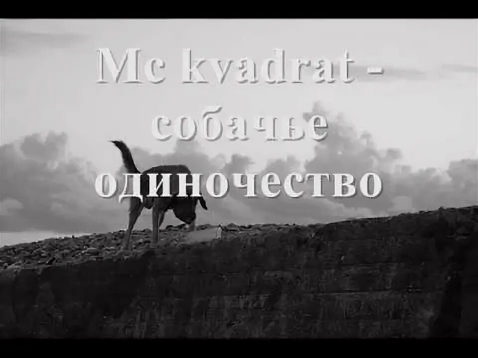 Слава одиночество. Одиночество сволочь певица. Одиночества mp3. Слава одиночество. Одиночества mp3.