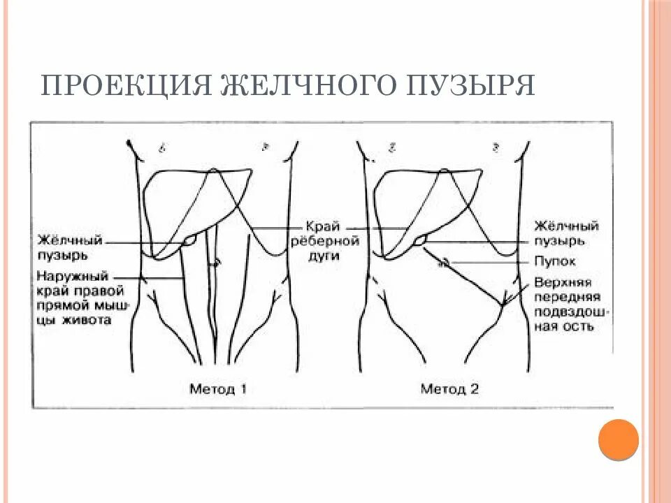 Точка проекции желчного пузыря. Точка проекции желчного пузыря на переднюю. Проекция желчного пузыря на переднюю брюшную стенку. Проекция дна желчного пузыря.