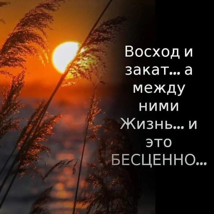Каждая жизнь бесценна