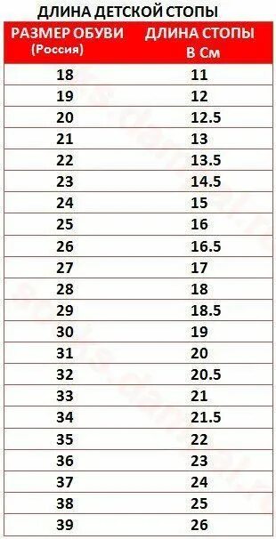 Стопа 12 5. Длина по стельке и размер. Длина стопы и размер. Размер стопы. Длина стопы и размер обуви.