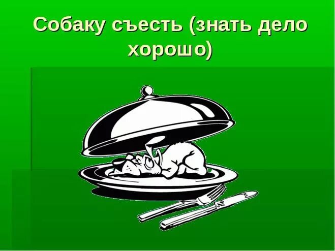 Пословица собаку съел