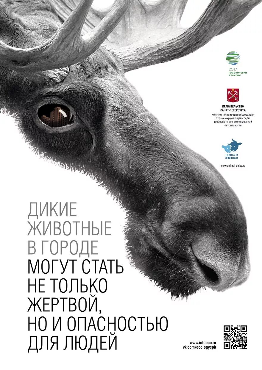 Защита животных Постер. Плакат по защите животных. Социальные плакаты с животными. Лозунги в защиту животных. Слоган животное
