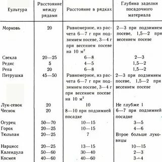 Какое расстояние между луком при посадке
