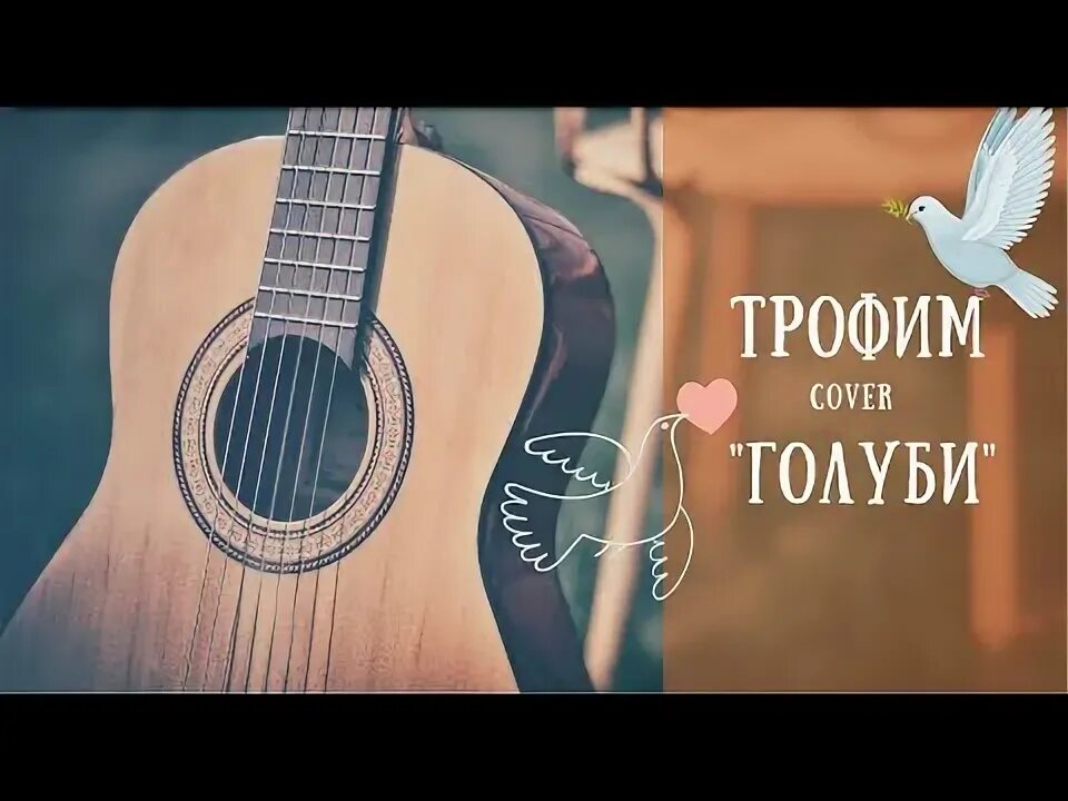 На гитаре песню голуби. На гитаре песню голуби