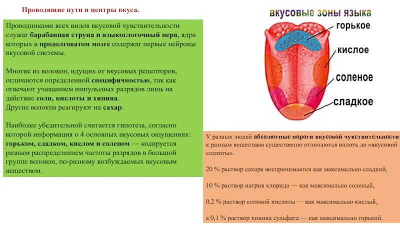 Рецепторы вкусовых ощущений