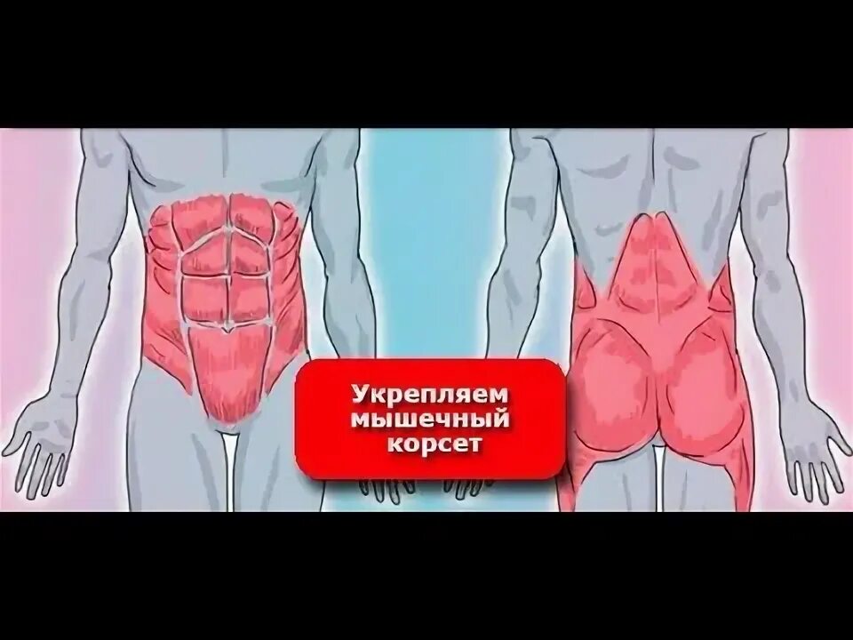 Развивают и укрепляют мышцы