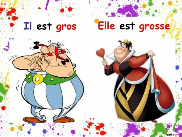 Il est elle. Il est gros?ответ. houla! il est grand. grossen grossem grosser grosseв немецком грамматика.
