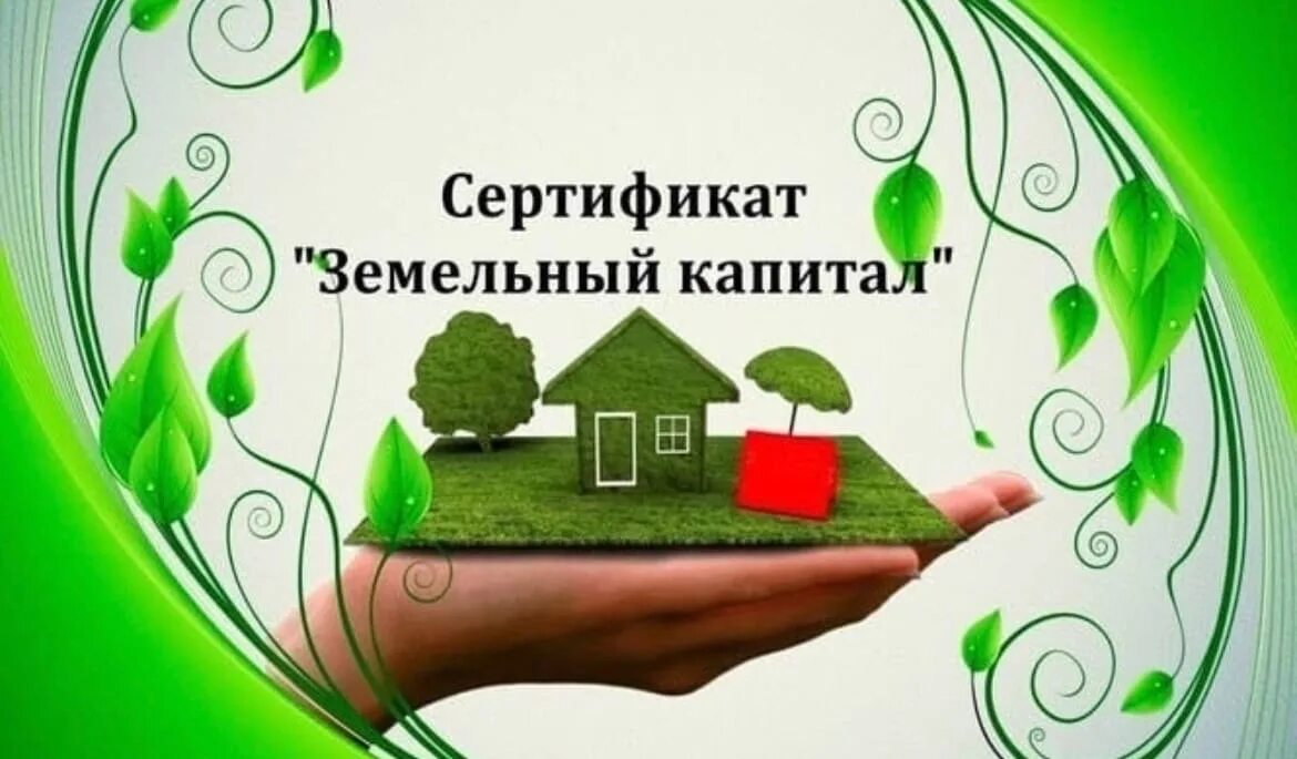 Земельный капитал в санкт-петербурге. Земельный капитал в санкт-петербурге. Земельный капитал условия. Земельный капитал условия. Земельный сертификат многодетным спб.