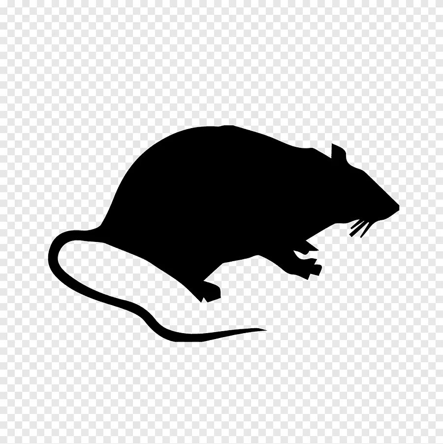 Эмблема мышь. Силуэты грызунов. крыса силуэт. мышь силуэт. значок крысы.