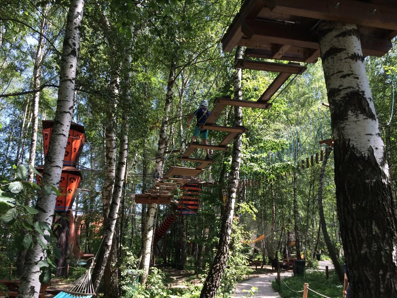 Включи дикий парк. Дикие белки парк в Чехове. Парк бешеные белки Чеховский район. Белкин парк Чеховский район. Парк развлечений Дикие белки Чеховский район.