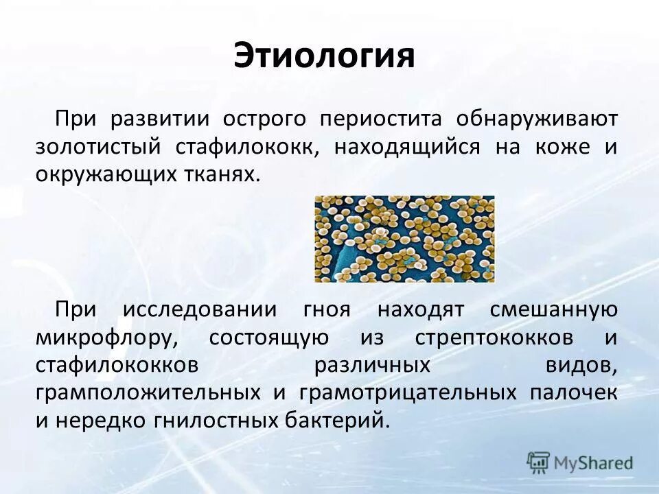 Микрофлора смешанная палочки