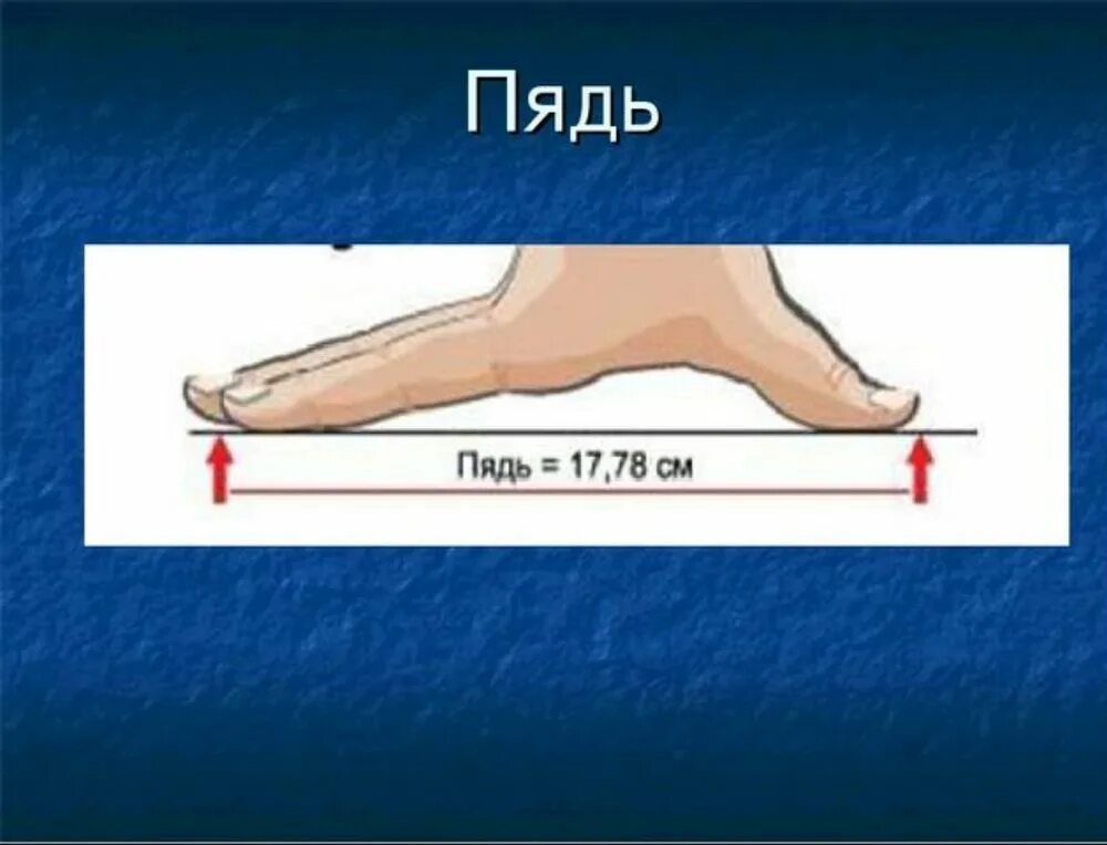 1 2 пяди
