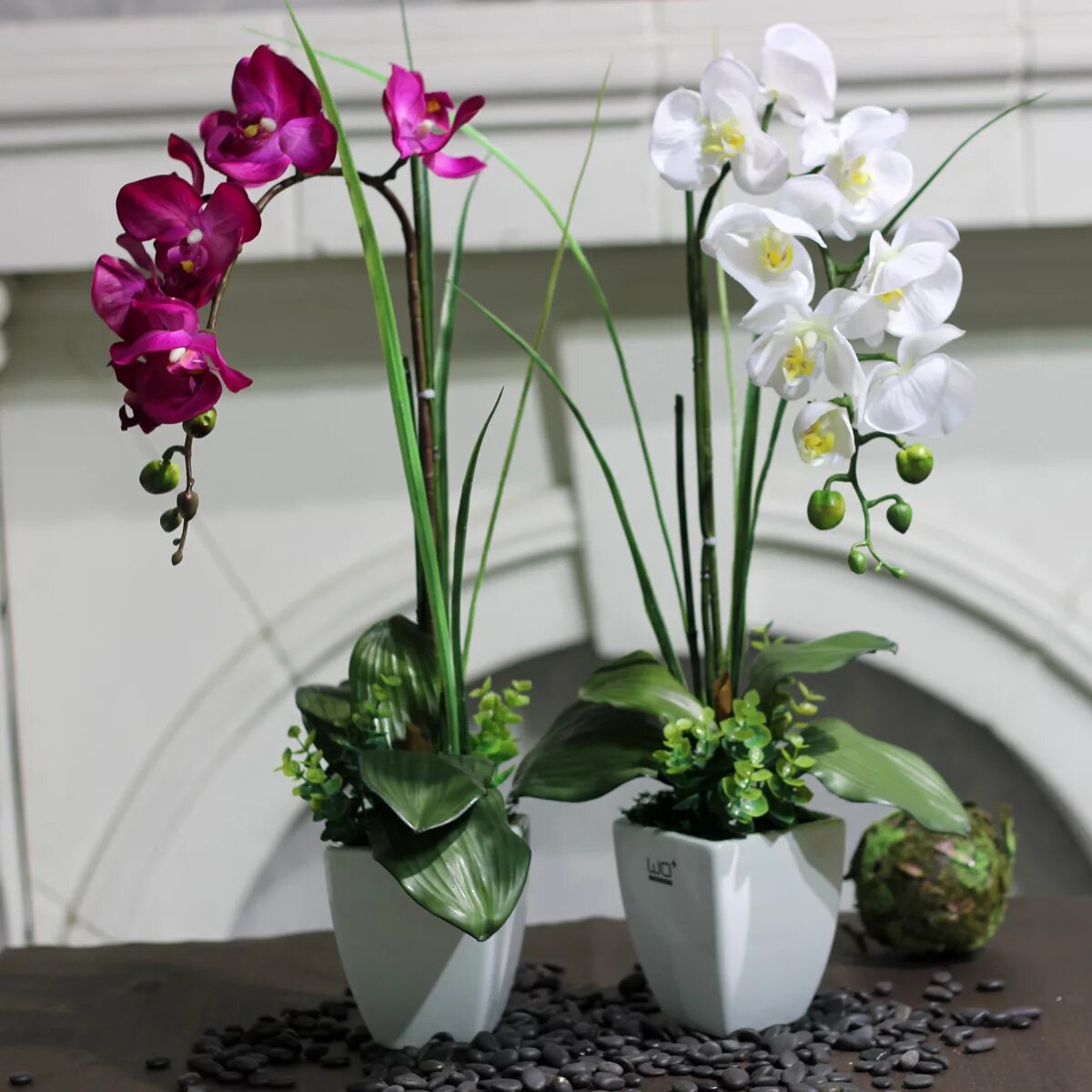 домашние цветы в горшках орхидея. домашние цветы в горшках орхидея. фаленопсис эмоушен. орхидея фаленопсис. фаленопсис микс 1ст d12.