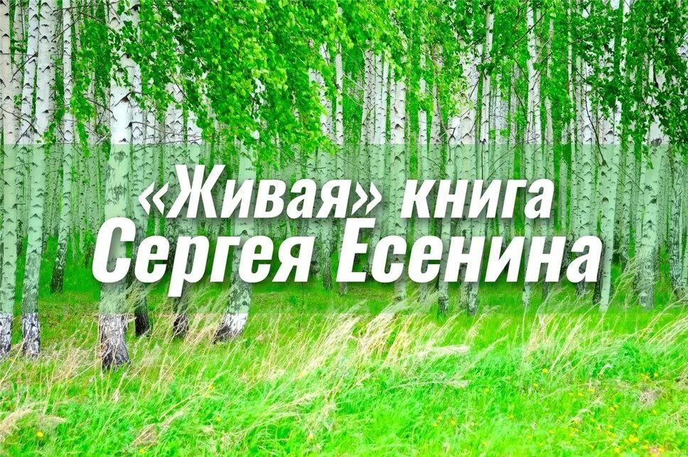 игорь борщенко умный позвоночник. система жива книги. живые системы и экосистемы. биология 9 класс книга. система жива книги.