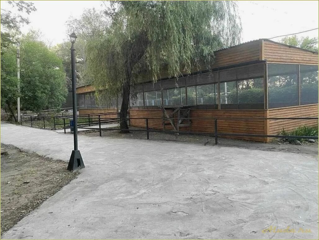 Лагерь восток 2 оренбург дубки. Дубки отдых оренбург. Усадьба дружба в дубках оренбург. Дубки турбаза воронеж. Дубки отдых оренбург.