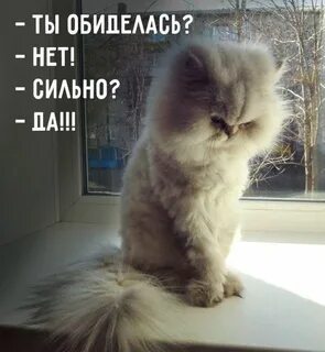 Обиделась картинки смешные