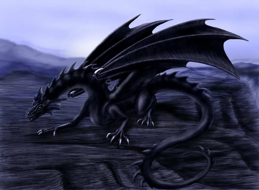 Песня черный дракон. Иценский чёрный дракон. Драгон Найт черный дракон. Гебриданский чёрный дракон. Дракон арт.