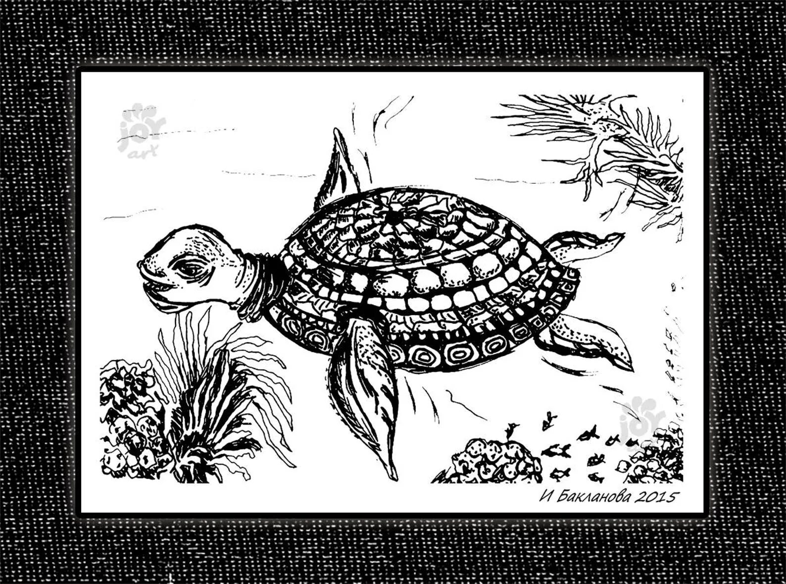 Черепаха рисунок. Морская черепаха раскраска. Морская черепаха рисунок.