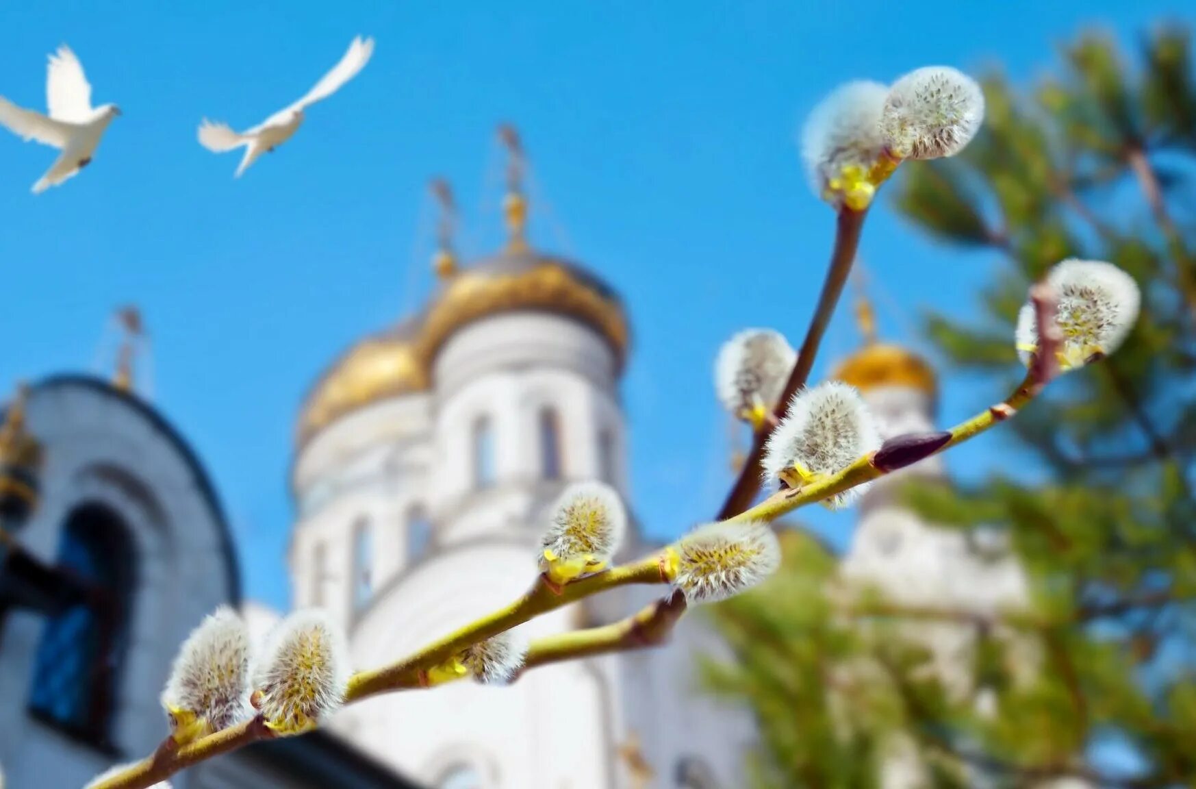 Вербное воскресенье 2021г. Когда вербное воскресенье в 2024 году. Вербное вербное воскресенье 2021. Когда вербное воскресенье в 2024 году. Вербное воскресенье в 2021.