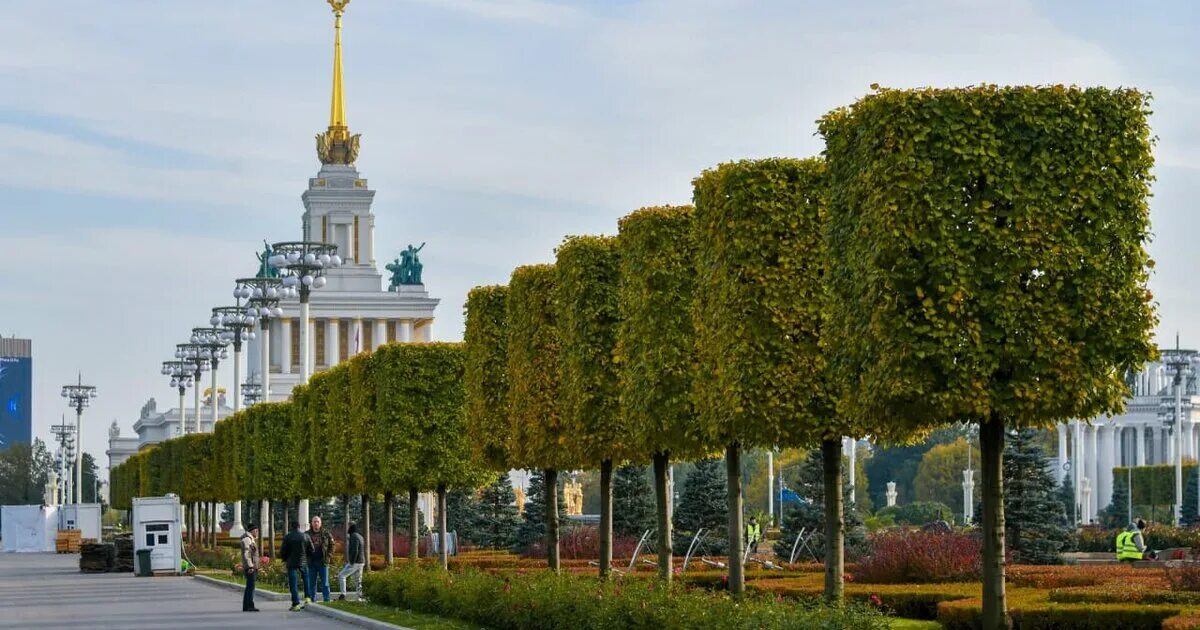До какого работает вднх. Вднх октябрь 2025. вднх фото октябрь 2025. цветы на вднх фото. выставка россия на вднх 2025.