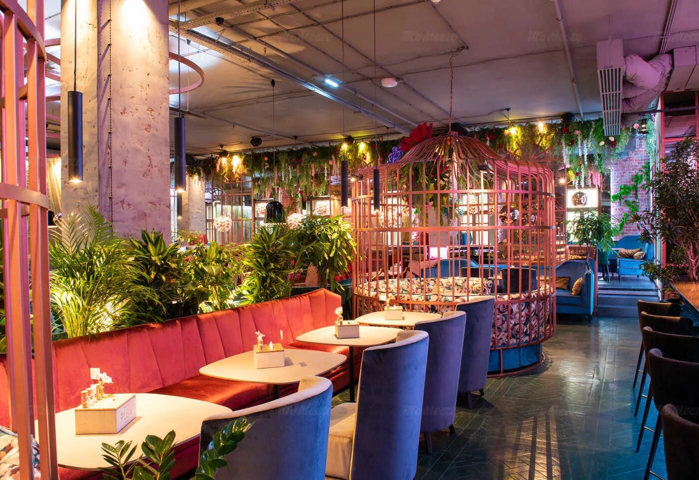 плов проджект малая дмитровка. ресторан проджект москва. Plov project, москва веранда ресторан. ресторан плов проджект москва. ресторан проджект москва.