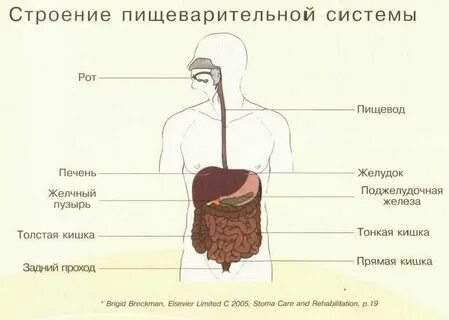 Строение 24