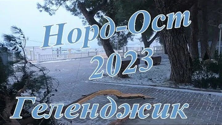 Oct 7