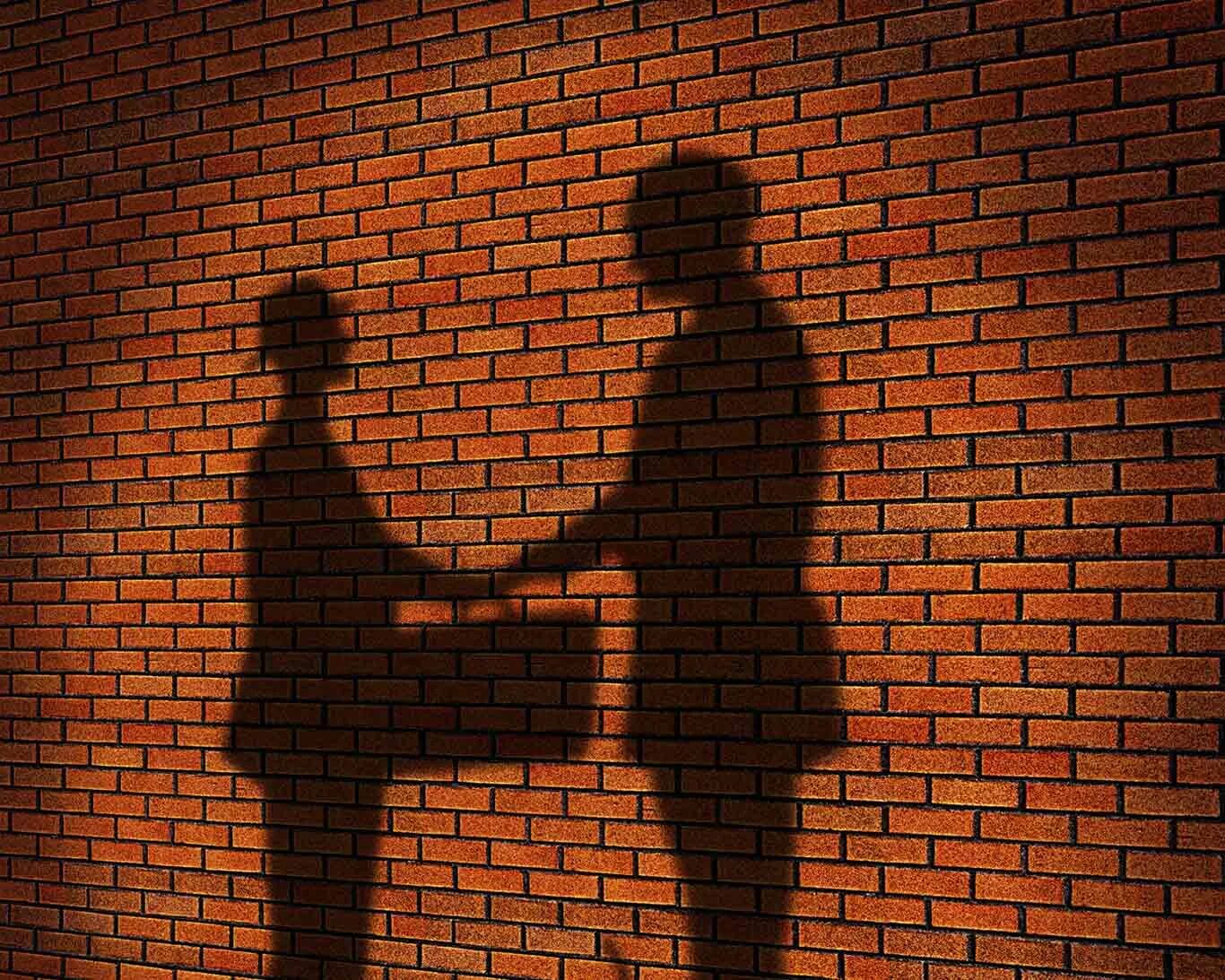 Теневые отношения. Теневой бизнес. Теневая экономика. Теневая экономика. Теневые отношения.