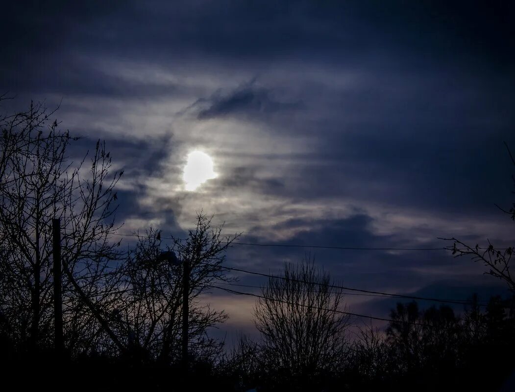 темный лес с небом. темная ночь только. тревожная черная степь. ночной мрак. белая тьма.