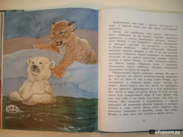 Книга веры чаплиной фомка белый медвежонок. Книга веры чаплиной фомка белый медвежонок. Чаплина фомка белый медвежонок. Чаплина фомка белый медвежонок для читательского дневника. Чаплина медвежонок читательский.