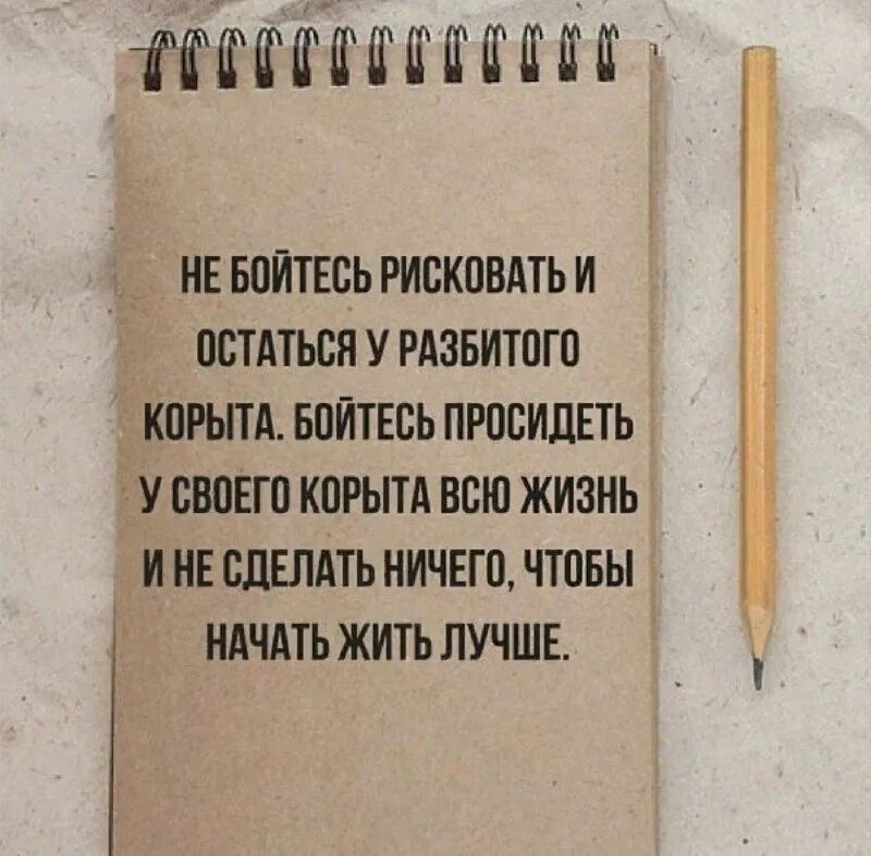 Статусы про жизнь и будущее. Рисковать выражение. Цитаты о риске. Цитаты про риск. Рисковать афоризмы.