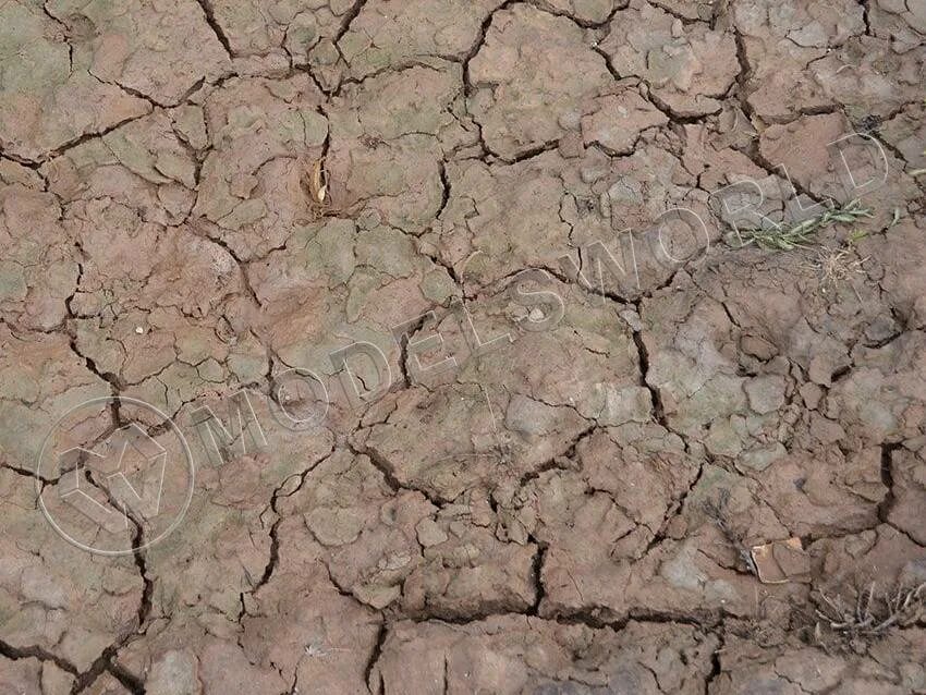 Сырая земля упруга. Сырая земля упруга. Сухая почва. Какое из предложений является односоставным. Влажная почва.