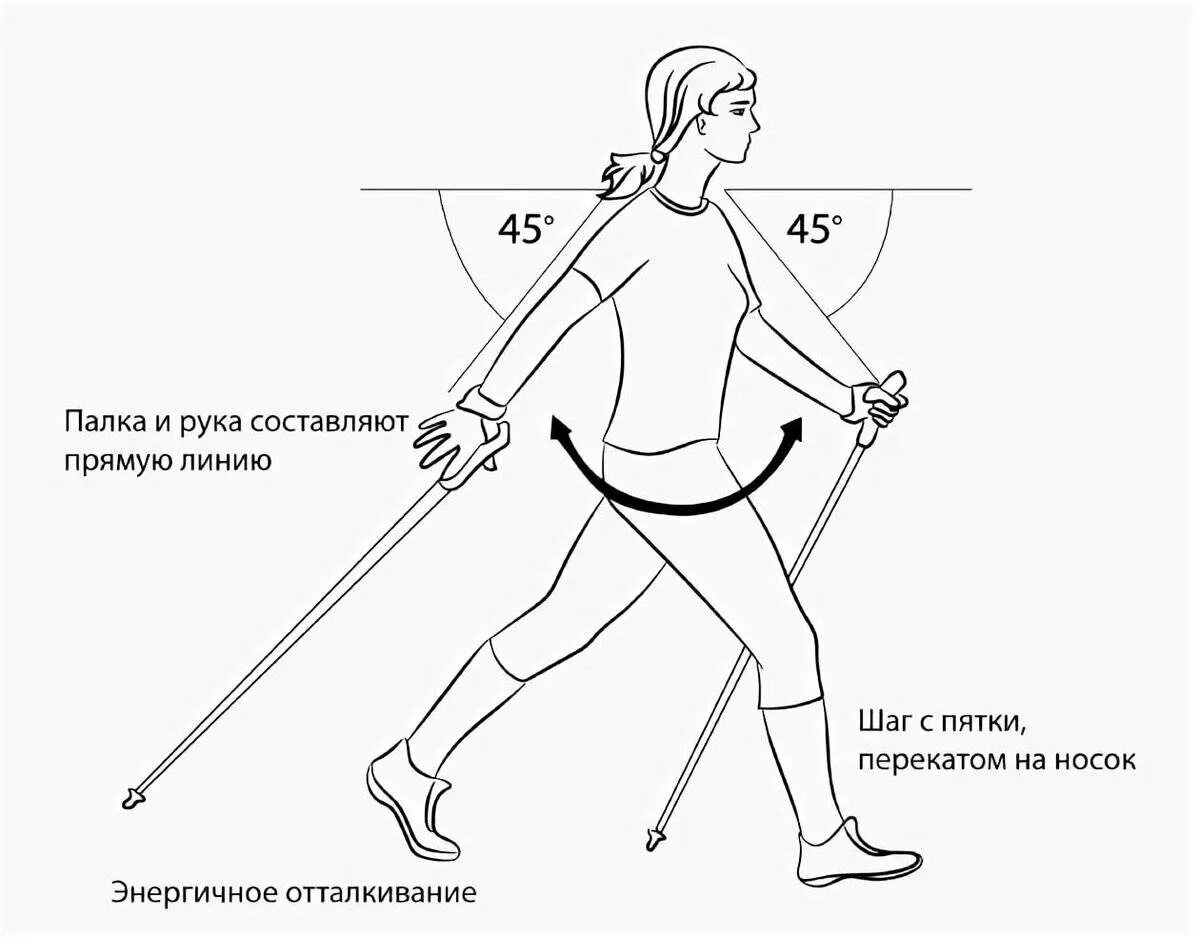 Скандинавская ходьба урок начинающим. Скандинавская ходьба методика ходьбы. Скандинавская ходьба с палками техника. Скандинавская ходьба с палками техника ходьбы для начинающих. Методика скандинавской ходьбы с палками для начинающих.