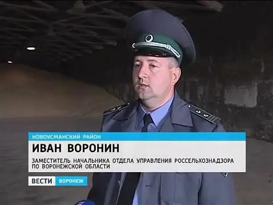 Россельхознадзор по воронежской белгородской и липецкой. Россельхознадзор воронеж. россельхознадзор (воронеж, белгород, липецк).