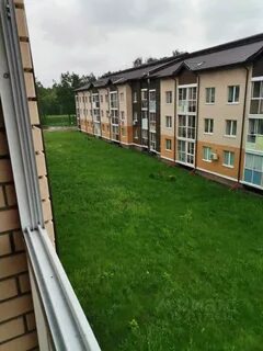 Мотяково московской обл