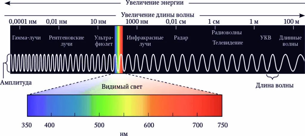 Максимальное оптическое разрешение. Длины волн видимого спектра. Диапазон волн длин волн видимой части спектра. Электромагнитный спектр с длинами волн. Видимый спектр излучения радиации.