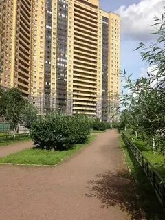 Парголово дудина 25