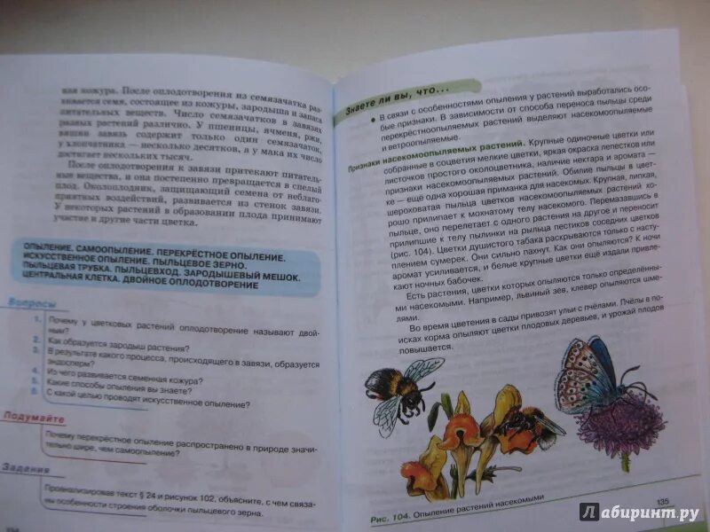 Биология 6 класс учебник многообразие покрытосеменных растений. Биология 6 кл многообразие покрытосеменных растений Пасечник. Биология 6 класс учебник Пасечник.